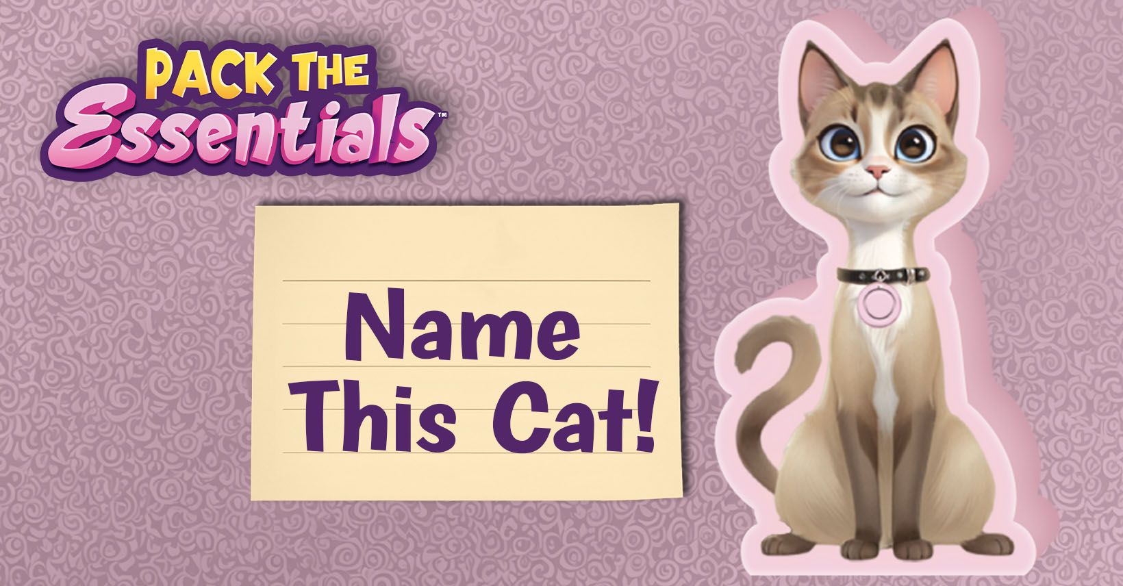 Meet the Cats from Pack The Essentials & Name the Cat Contest!😻